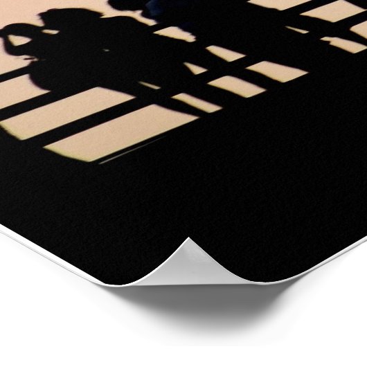 Katten van Austin - Austin, Texas Poster (Hoek)