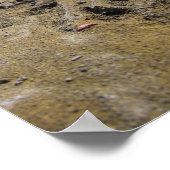 Katten van Badlands Poster (Hoek)