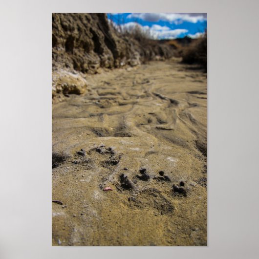 Katten van Badlands Poster (Voorkant)