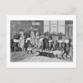 Katten van Barber, Louis Wain Briefkaart (Voorkant)