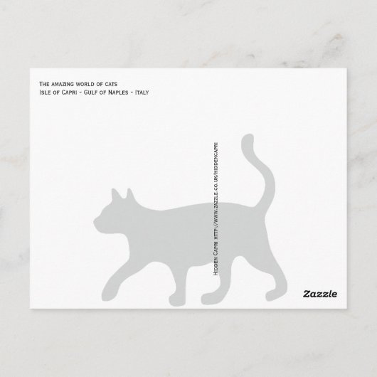 Katten van Capri — Italië Briefkaart (Achterkant)