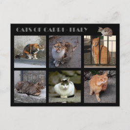 Katten van Capri — Italië Briefkaart