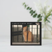 Katten van Capri, rode oranje kat - Italië Briefkaart (Staand voorkant)