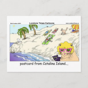 Katten van Catalina-eiland Grappige Cadeau Kaarten