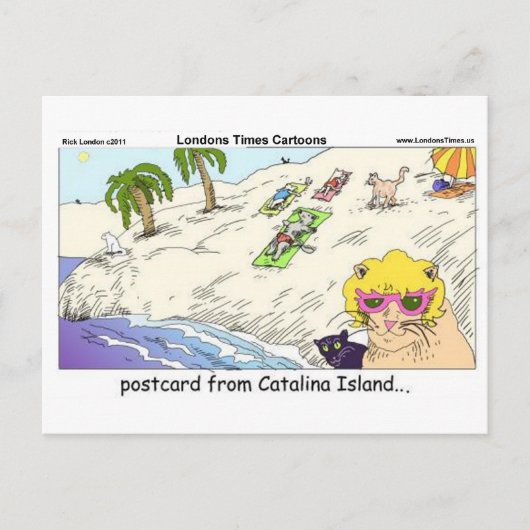 Katten van Catalina-eiland Grappige Cadeau Kaarten (Voorkant)