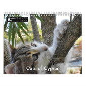 Katten van Cyprus door PaphosLife Kalender (Hoes)