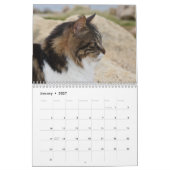 Katten van Cyprus door PaphosLife Kalender (Jan 2027)