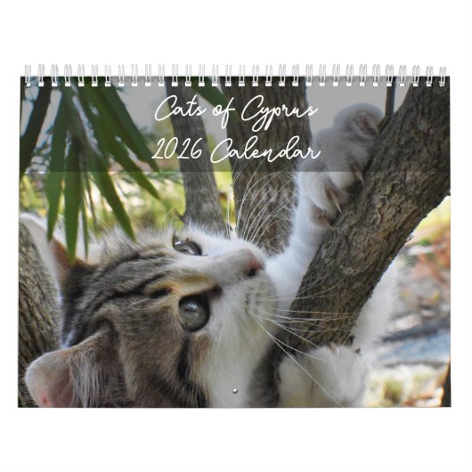 Katten van Cyprus volgens PaphosLife Calendar Kalender (Hoes)