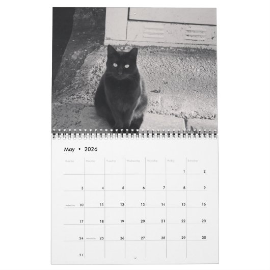 Katten van de ISTANBUL-kalender Kalender (Mei 2026)