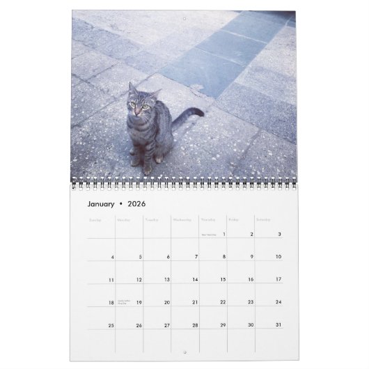Katten van de ISTANBUL-kalender Kalender (Jan 2026)