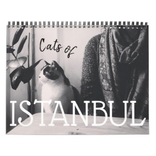 Katten van de ISTANBUL-kalender Kalender