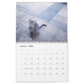 Katten van de ISTANBUL-kalender Kalender (Jan 2026)
