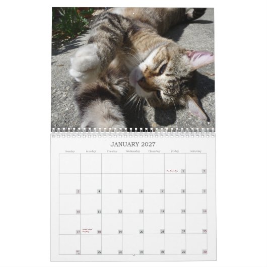 Katten van de nabuurschap 2013 kalender (Jan 2027)