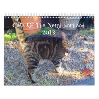 Katten van de nabuurschap 2013 kalender