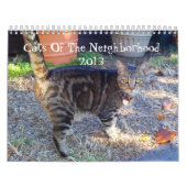 Katten van de nabuurschap 2013 kalender (Hoes)