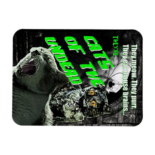 Katten van de ondode magneet (Horizontaal)