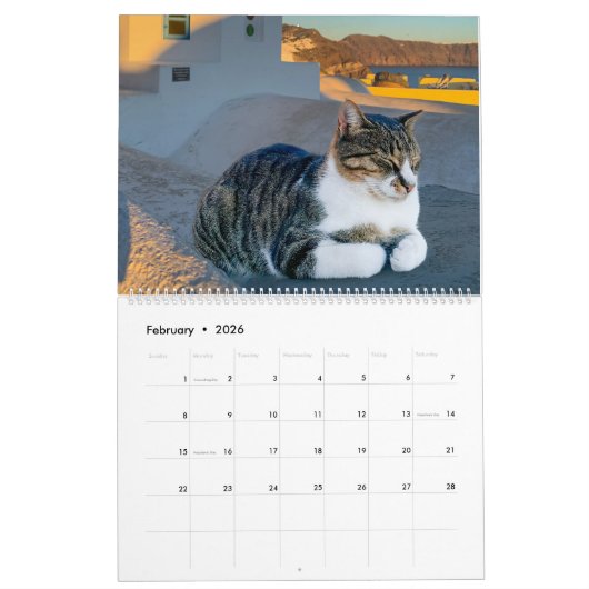 Katten van Griekenland Kalender (Feb 2026)