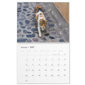 Katten van Griekenland Kalender (Jan 2027)