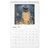 Katten van het Jaar Jaarkalender 2018 Kalender (Feb 2027)