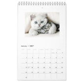 Katten van het Jaar Jaarkalender 2018 Kalender (Jan 2027)