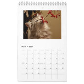 Katten van het Jaar Jaarkalender 2018 Kalender (Mar 2027)