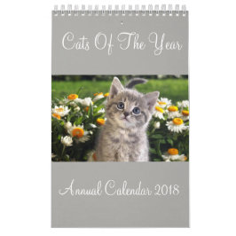 Katten van het Jaar Jaarkalender 2018 Kalender