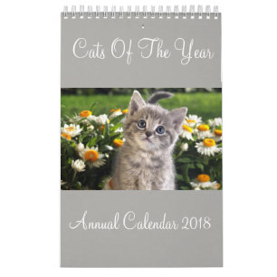 Katten van het Jaar Jaarkalender 2018 Kalender