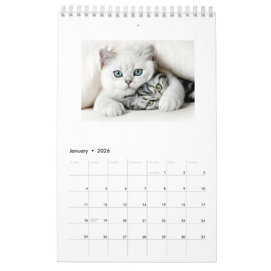 Katten van het Jaar Jaarkalender 2018 Kalender (Jan 2026)