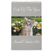 Katten van het Jaar Jaarkalender 2018 Kalender (Hoes)