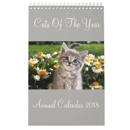 Katten van het Jaar Jaarkalender 2018 Kalender (Hoes)