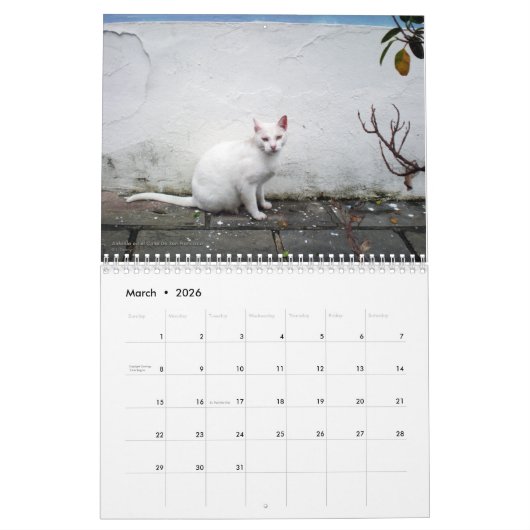Katten van het oude San Juan, kalender 2016 (Mar 2026)