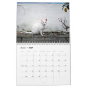Katten van het oude San Juan, kalender 2017 (Mar 2027)