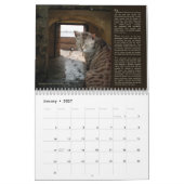 Katten van het oude San Juan, kalender 2017 (Jan 2027)