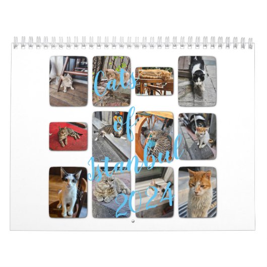 Katten van Istanbul Kalender (Hoes)