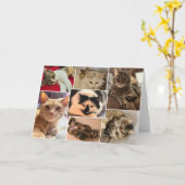 Katten van Johnston County Kaart (Gele Bloem)