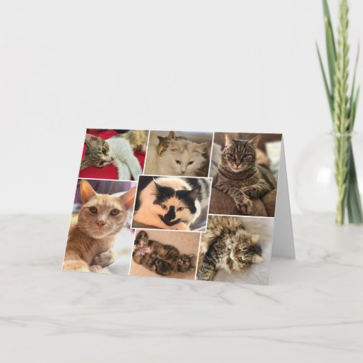 Katten van Johnston County Kaart (Voorkant)