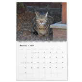 Katten van Vermont 2024 Kalender (Feb 2027)