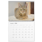 Katten van Vermont 2024 Kalender (Jan 2026)