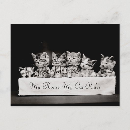 Katten Verdrukte  thee Briefkaart (Voorkant)