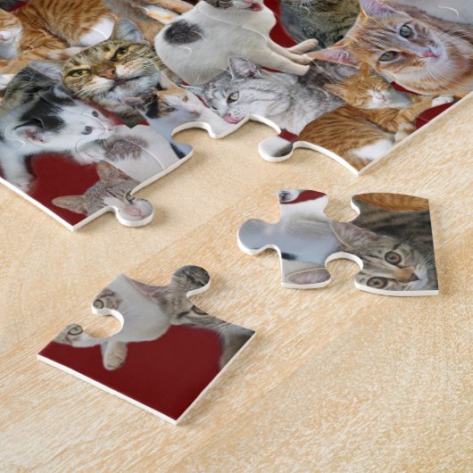 Katten vergaderpunt legpuzzel (Zijkant)