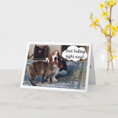 KATTEN VERSCHUILEN ZICH ACHTER VERJAARDAGSWENSEN V KAART (Gele Bloem)