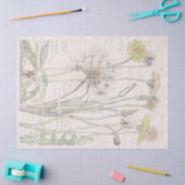  katten Verse bloem Tissuepapier (Craft)