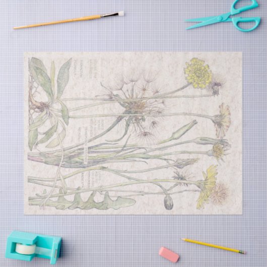  katten Verse bloem Tissuepapier (Craft)