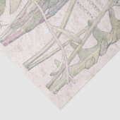  katten Verse bloem Tissuepapier (Detail)