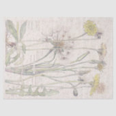  katten Verse bloem Tissuepapier (Voorkant)