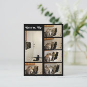 Katten versus Briefkaart (Staand voorkant)
