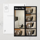 Katten versus Briefkaart (Voorkant / Achterkant)