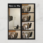Katten versus Briefkaart (Voorkant)