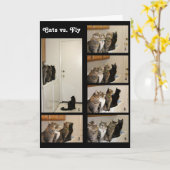Katten versus Fly Birthday Card Kaart (Gele Bloem)