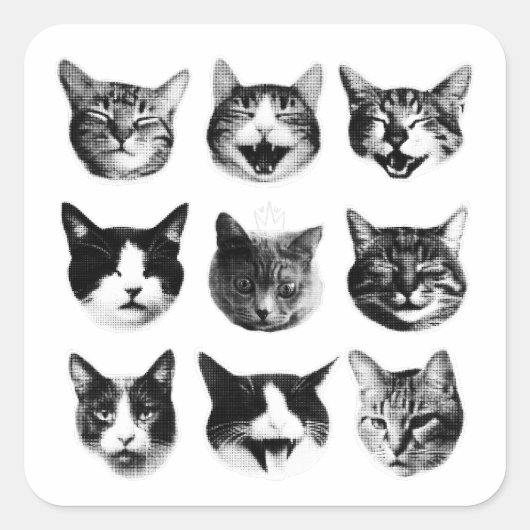 Katten Vierkante Sticker (Voorkant)